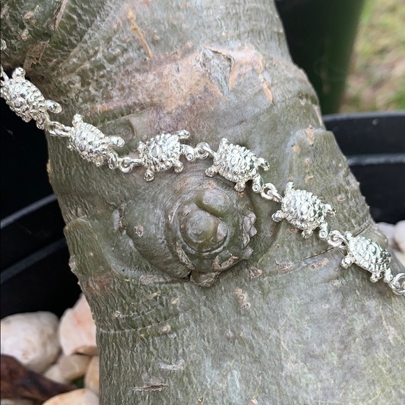 Sterling Silver Turtle Link Bracelet - Picture 5 of 8